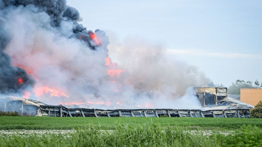 De brand bij de kippenschuren in Kiel-Windeweer zondag