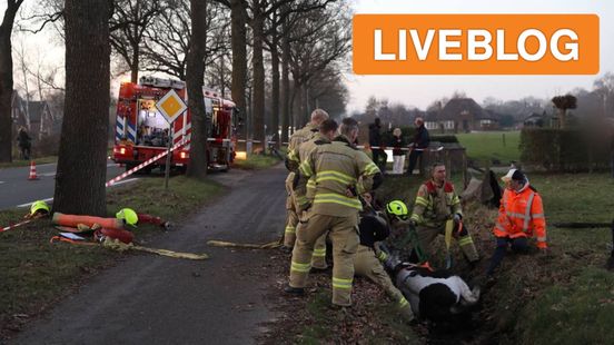 Paard op hol • ongeval trekker. Paard op hol • ongeval trekker.