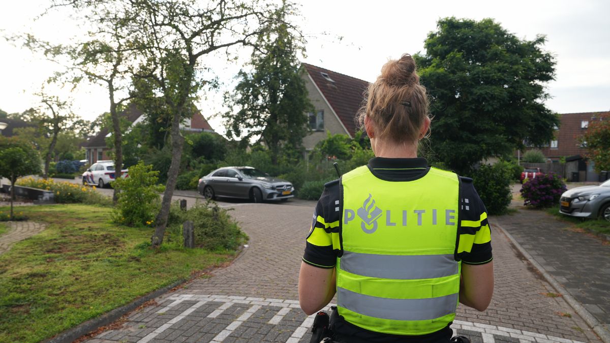 Nepagenten plegen woningoverval in Ruinen