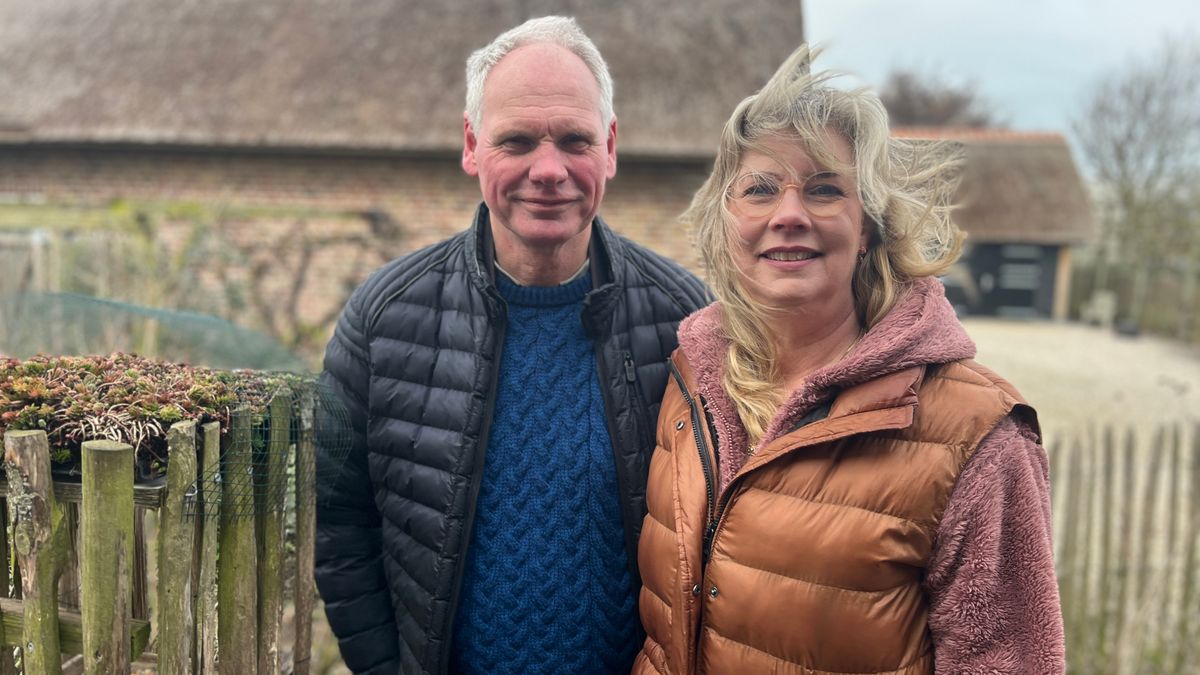 Dit koppel ging viraal door een drukbezocht vogelhuisje: 'Hadden het niet verwacht'