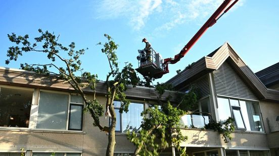 Bewoners schrikken van boom die op verzorgingshuis valt