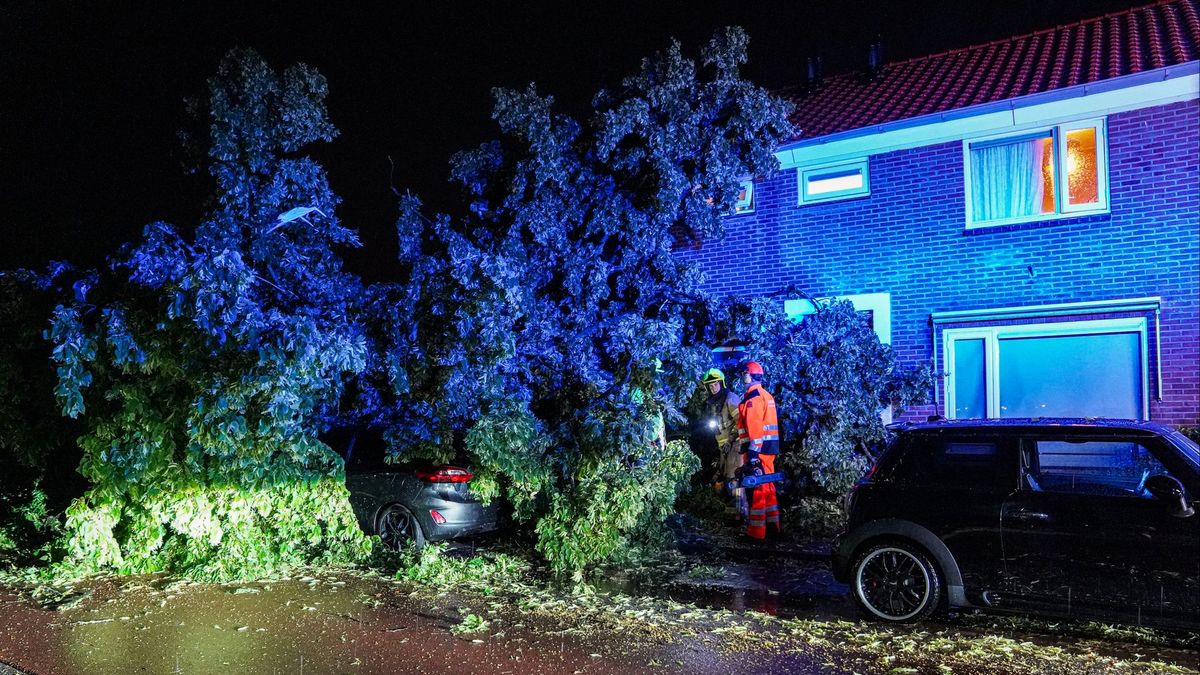 Woning zwaar beschadigd door omgevallen boom