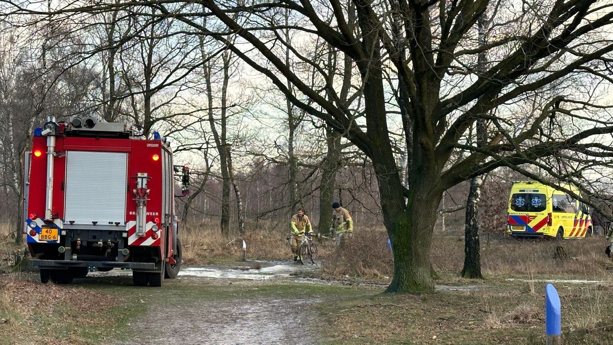 Mountainbiker naar ziekenhuis na zware val in bos Wellerlooi