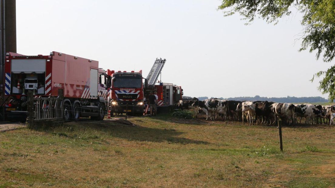 Meerdere brandweerkorpsen aanwezig bij boerderij (Rechten: Van Oost Media)