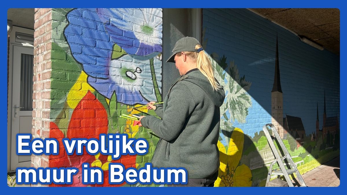 De Walfridushof in Bedum krijgt vrolijke muur