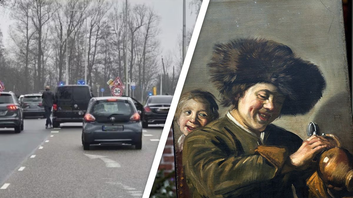 Opgepakte voortvluchtige was kunstrover Nils M. die Frans Hals uit Leerdam stal
