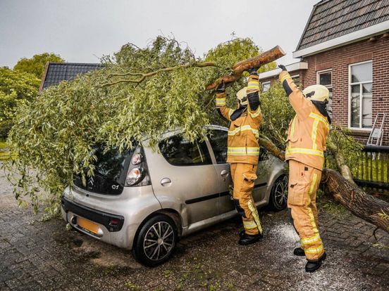 Onweersbuien zorgen voor omgevallen bomen, wateroverlast en afgelastingen