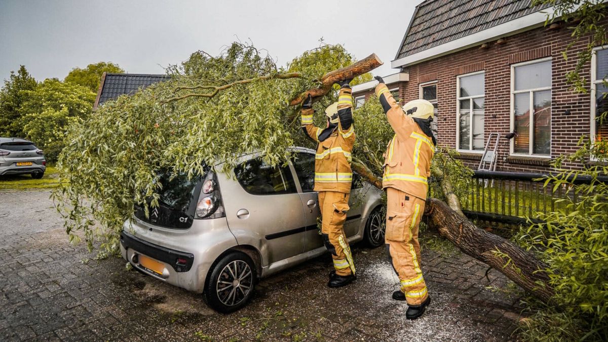 Onweersbuien zorgen voor boom op trein, wateroverlast en afgelastingen