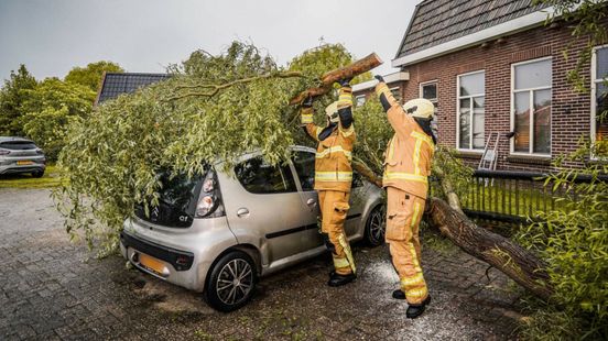 Onweersbuien zorgen voor omgevallen bomen, wateroverlast en afgelastingen Nieuws