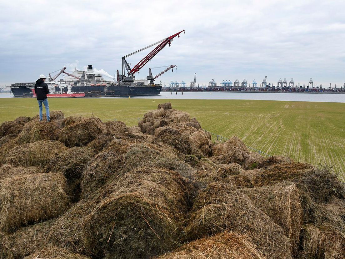 Bokashi op de Tweede Maasvlakte