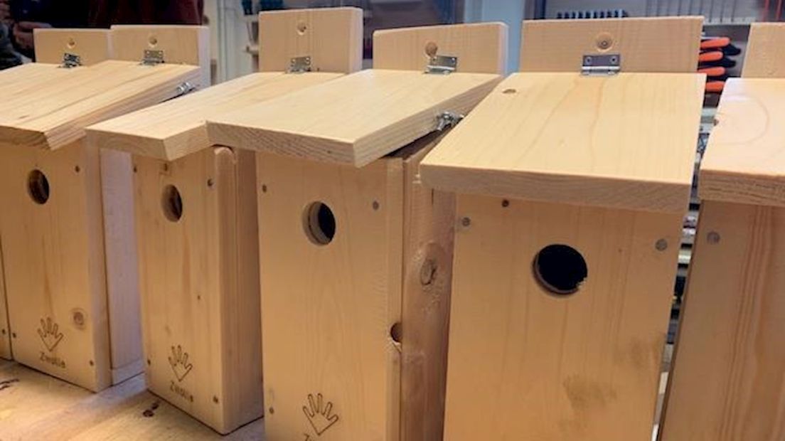 Zwolse leerlingen bouwen 200 nestkasten in strijd tegen eikenprocessierups