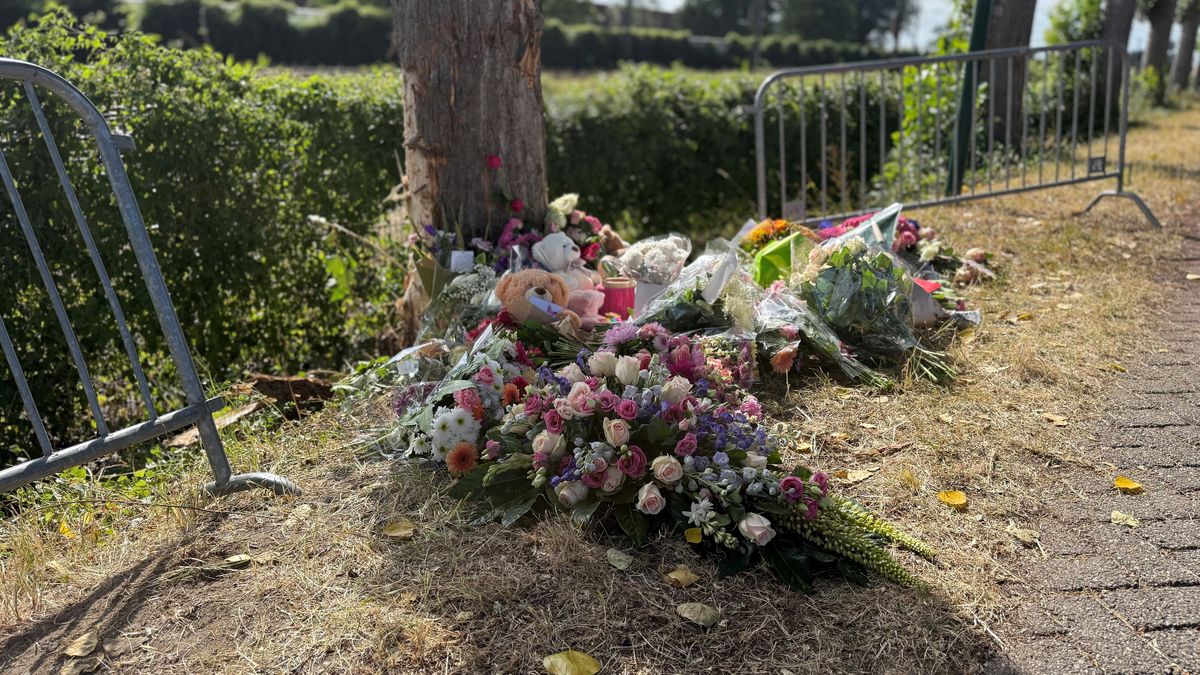 Verkeersregelaars bij herdenkingsplaats Maarssen na gewelddadige ruzie