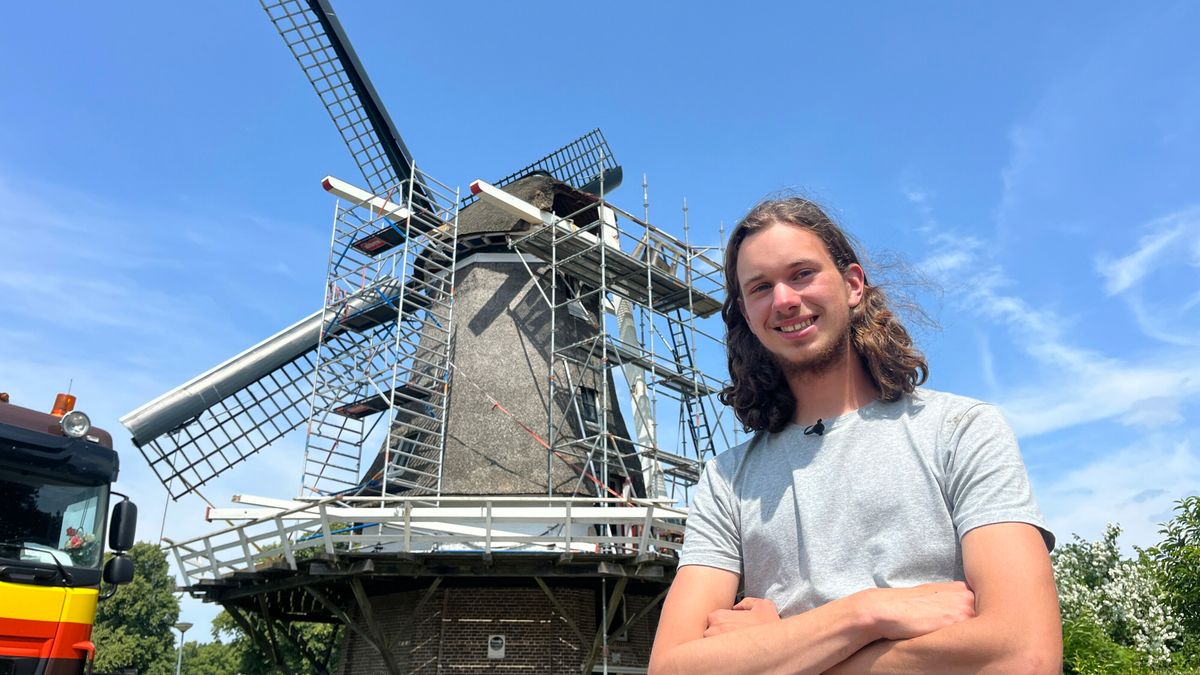 Molen De Vlijt in Diever krijgt nieuwe spruiten: 'De meeste molenaars maken dit maar een keer mee'