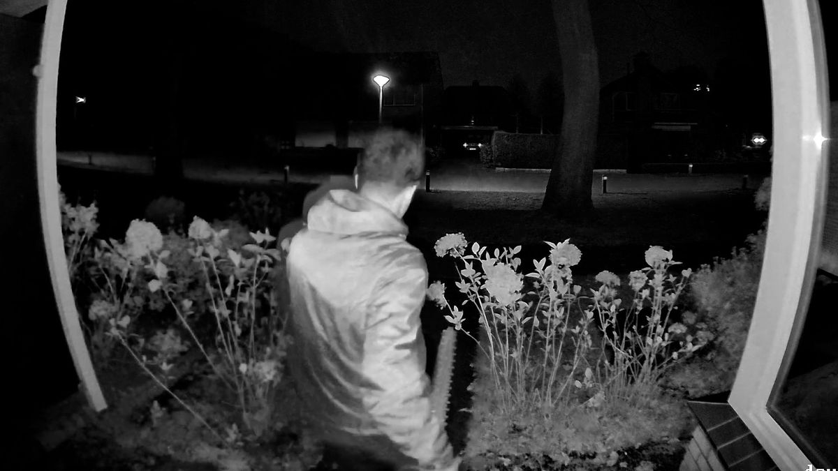 Inbreker laat buit vallen door oplettende getuige: wie stapte in de blauwe Opel?