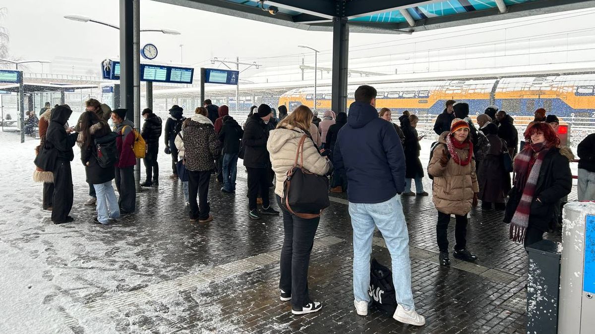 LIVE Code oranje: reizigers gestrand op station Zwolle | Bussen stilgezet