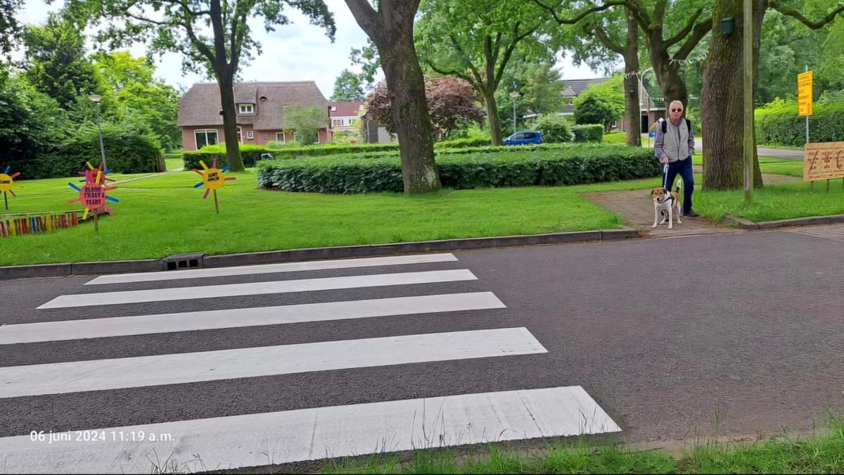 Blunder met belijning? Zebrapad in Hooghalen leidt naar grasveld