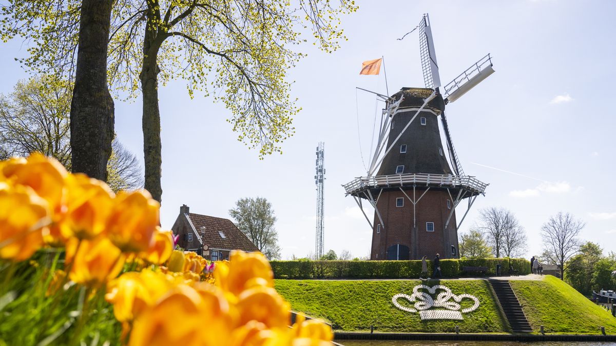 Jan Thomas ontvlucht Dokkum vanwege Koningsdag: 