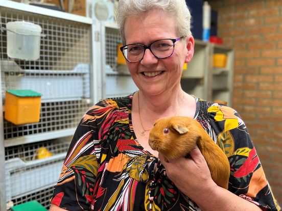 Expeditie Oost: Aly uit IJsselmuiden is wereldberoemd als cavia-keurmeester