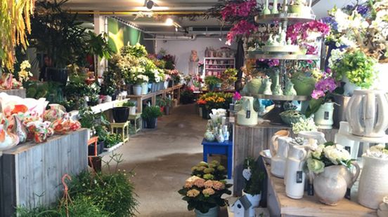 Grenzen verleggen met een bloemenzaak - RTV Noord