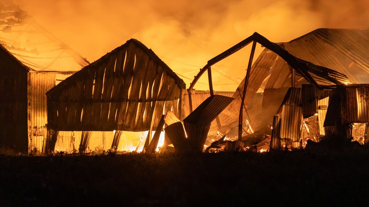 Vrouw (33) vast voor brandstichting bij boer in Ternaard