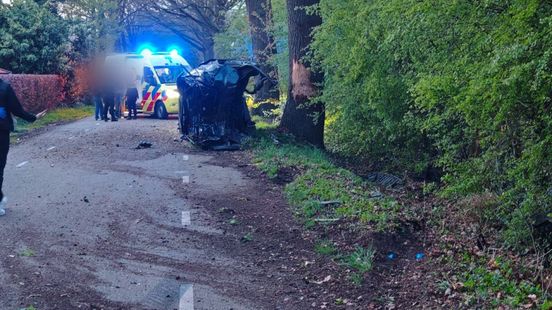 Zware crash tegen twee bomen, inzittenden stappen uit zonder schrammetje Nieuws