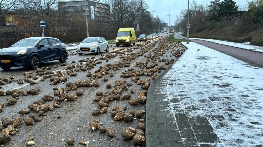 0a76999b-9287-37f6-a836-526e831d527f.jpg?width=1104&height=620&aspect_ratio=1104:620&cb=0e6985ca6394789597dd0239a1f1febe