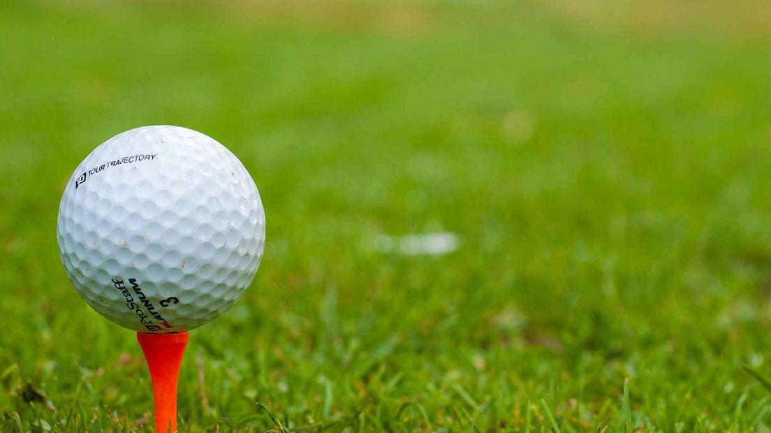 Golfclub De Gelpenberg maakt gebruik van de local rule (Rechten: Archief RTV Drenthe/Pixabay)