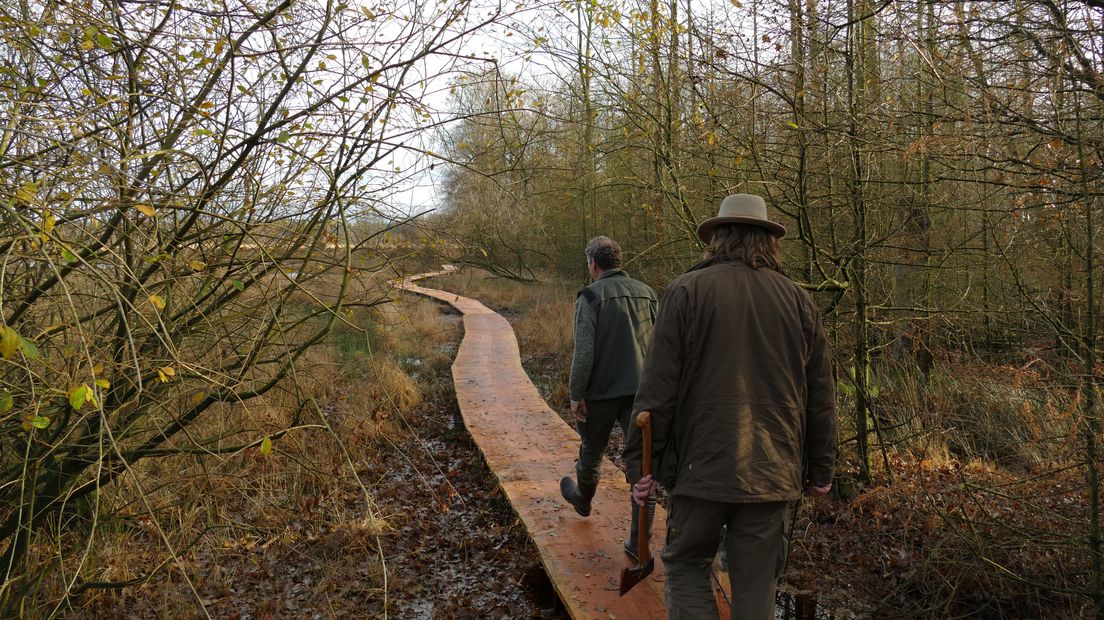 Boswachters Arjan Postma en Evert Thomas lopen de wolvenroute. (Rechten: Staatsbosbeheer)