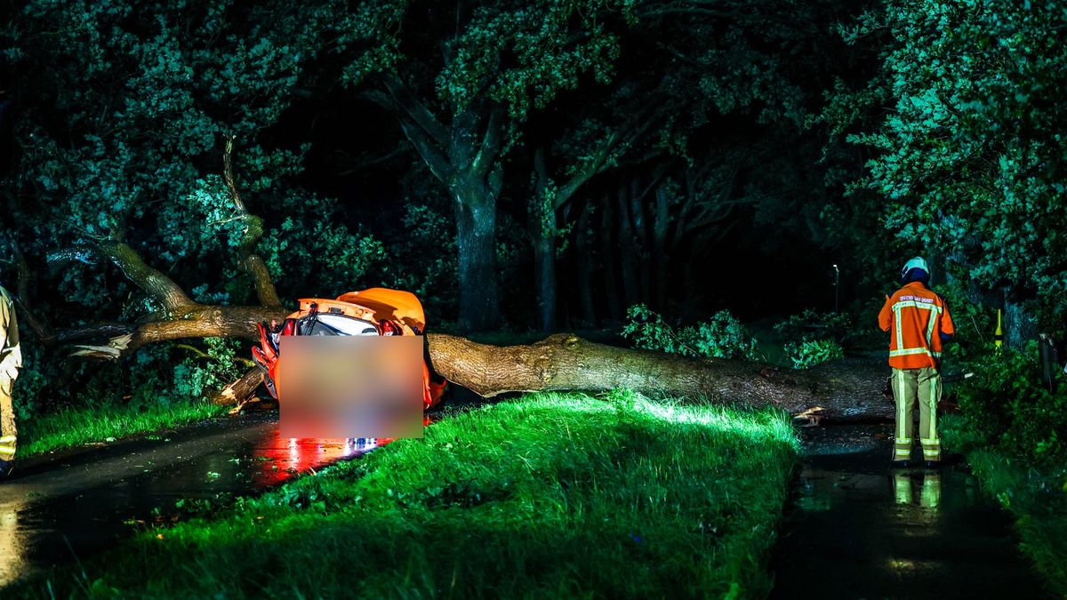 Boom valt op auto bij 't Haantje, inzittende zeer ernstig gewond