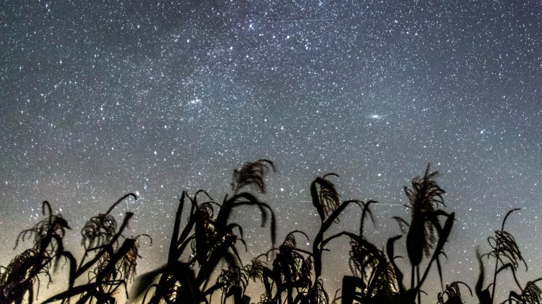 Sterren in de lucht van het Dark Sky Park