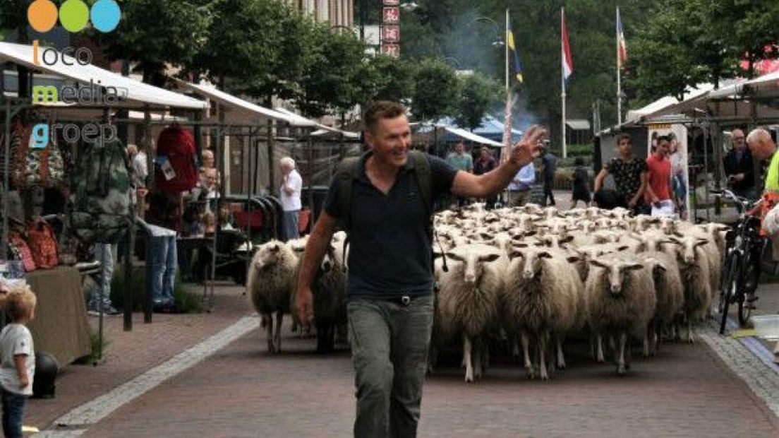 Schaapscheerdersfeest Schaapsherder Lammert loop met schapen over de Hessenmarkt in Heerde Tineke landscape