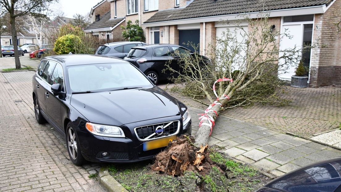 Storm zorgt voor 173 meldingen en 200.000 euro aan schade