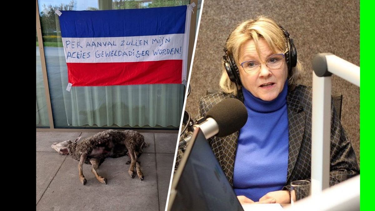 Na nieuw wolvendrama loopt spanning verder op: burgemeester doet aangifte