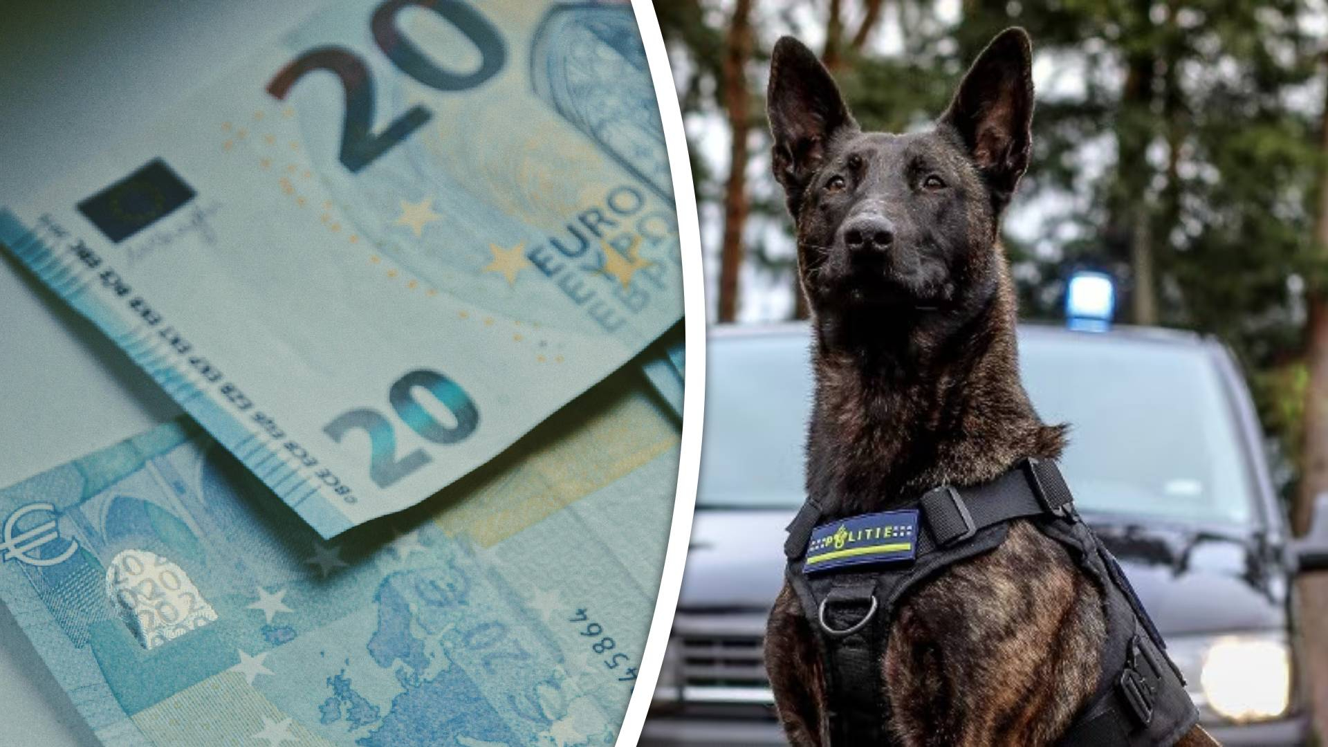 Geldhond Famke kwam een deel van het geld op het spoor