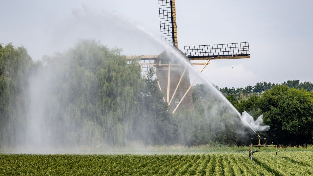 Watertekort in Nederland, wat is situatie in onze regio?
