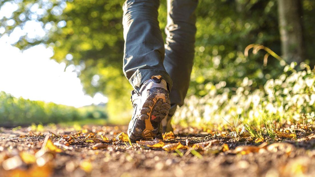 De Haaksbergse wandelvierdaagse gaat vanavond niet door