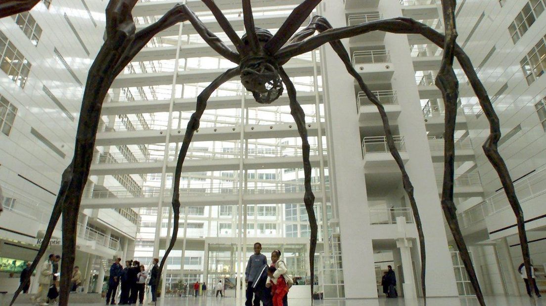 De reusachtige spin stond eerder in het Haagse stadhuis.