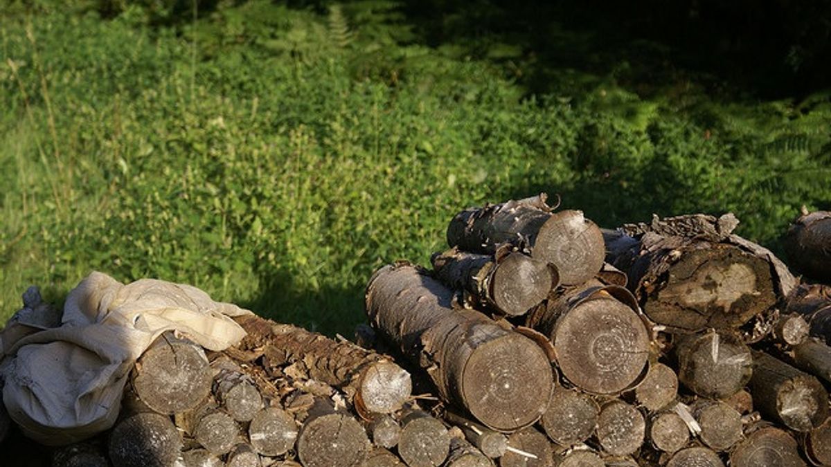 Stel op heterdaad betrapt bij inladen brandhout