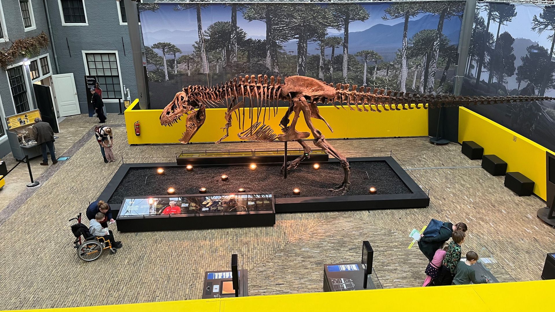 De eerdere expositie T-rex Trix in het Natuurmuseum