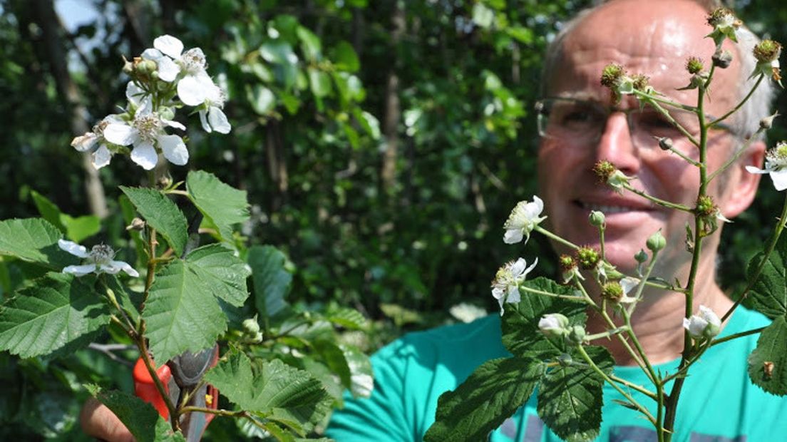 Botanist Karst Meijer