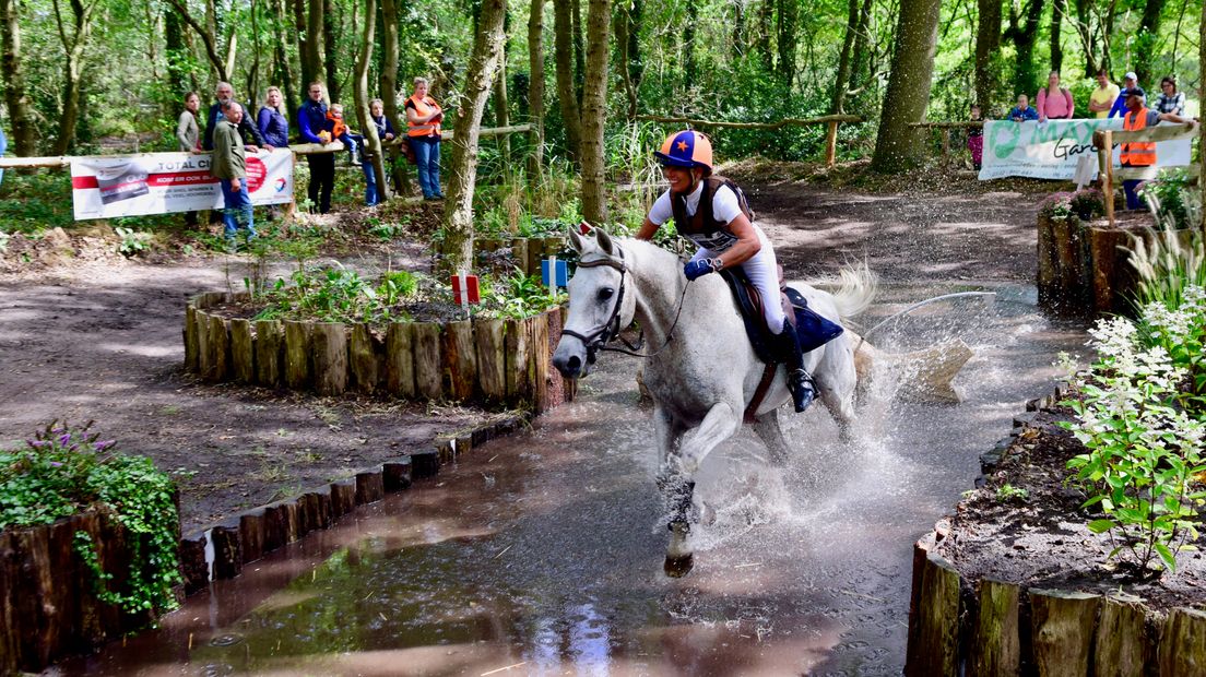 Een deelnemer bij de eventing in Norg gaat door de waterbak
(Rechten: Steven Stegen / RTV Drenthe)