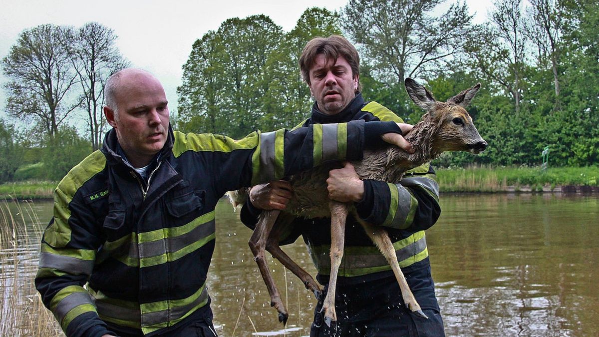Brandweer redt ree uit Van Starkenborghkanaal