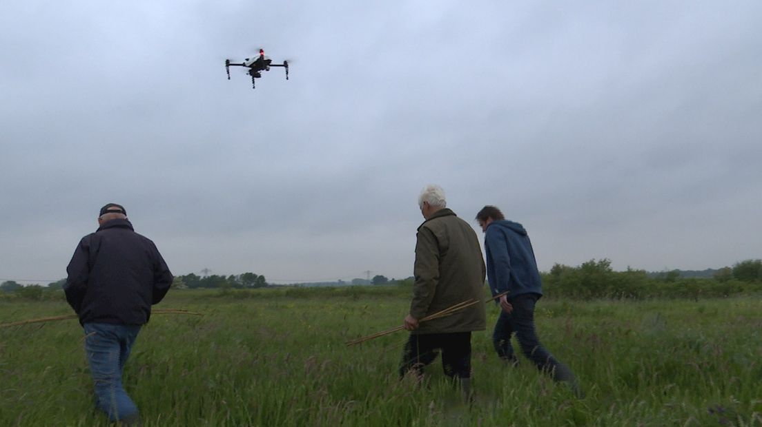 Drone is op zoek naar weidevogels bij Liederholthuis