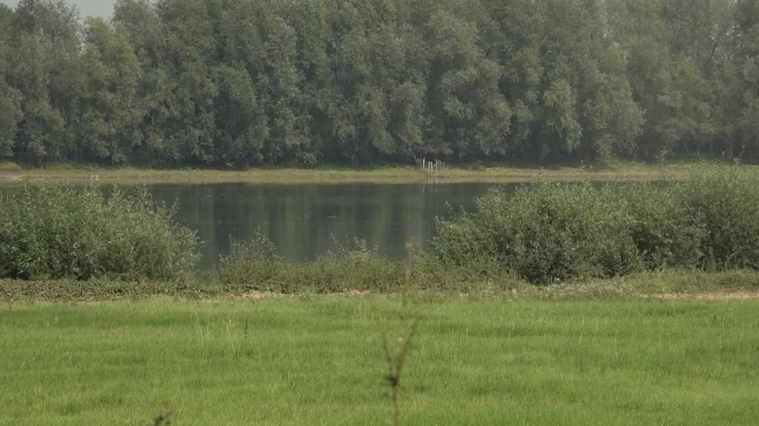 De uiterwaarden in Beuningen ondergaan een flinke opknapbeurt. Vandaag is het project Waalweelde officieel van start gegaan.