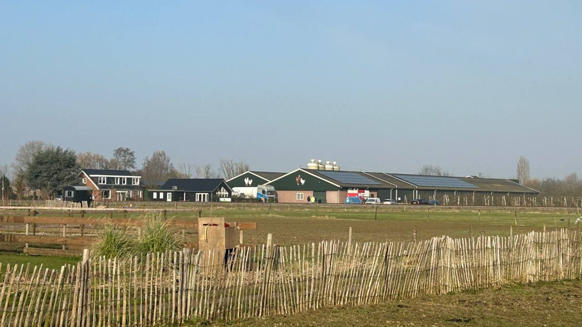 44.000 kippen geruimd na uitbraak vogelgriep