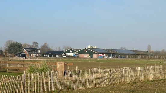 44.000 kippen geruimd na uitbraak vogelgriep