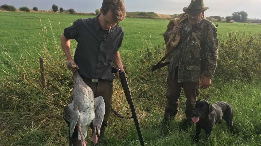 De Koninklijke Nederlandse Jagersvereniging pleit ervoor om het jachtseizoen voor de ganzen te verplaatsen. Nu loopt dat seizoen van maart tot november, maar de jagers willen liever in het najaar en de winter jagen.