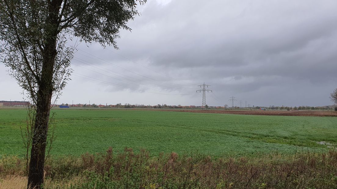 Onder dit veld aan de Trekdijk ligt het mottekasteeltje