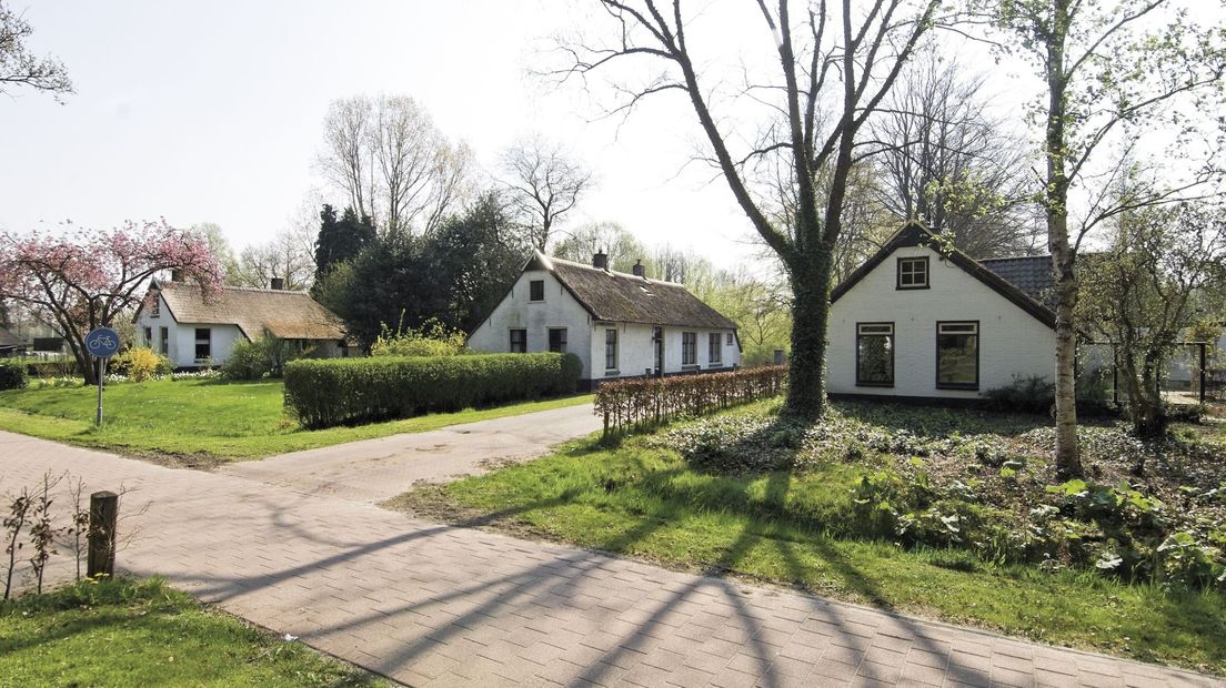 Koloniehuisjes