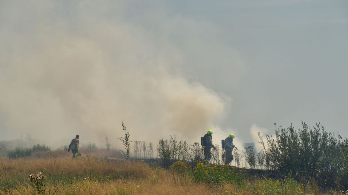Brandweer rukt uit voor bermbrand in Lomm